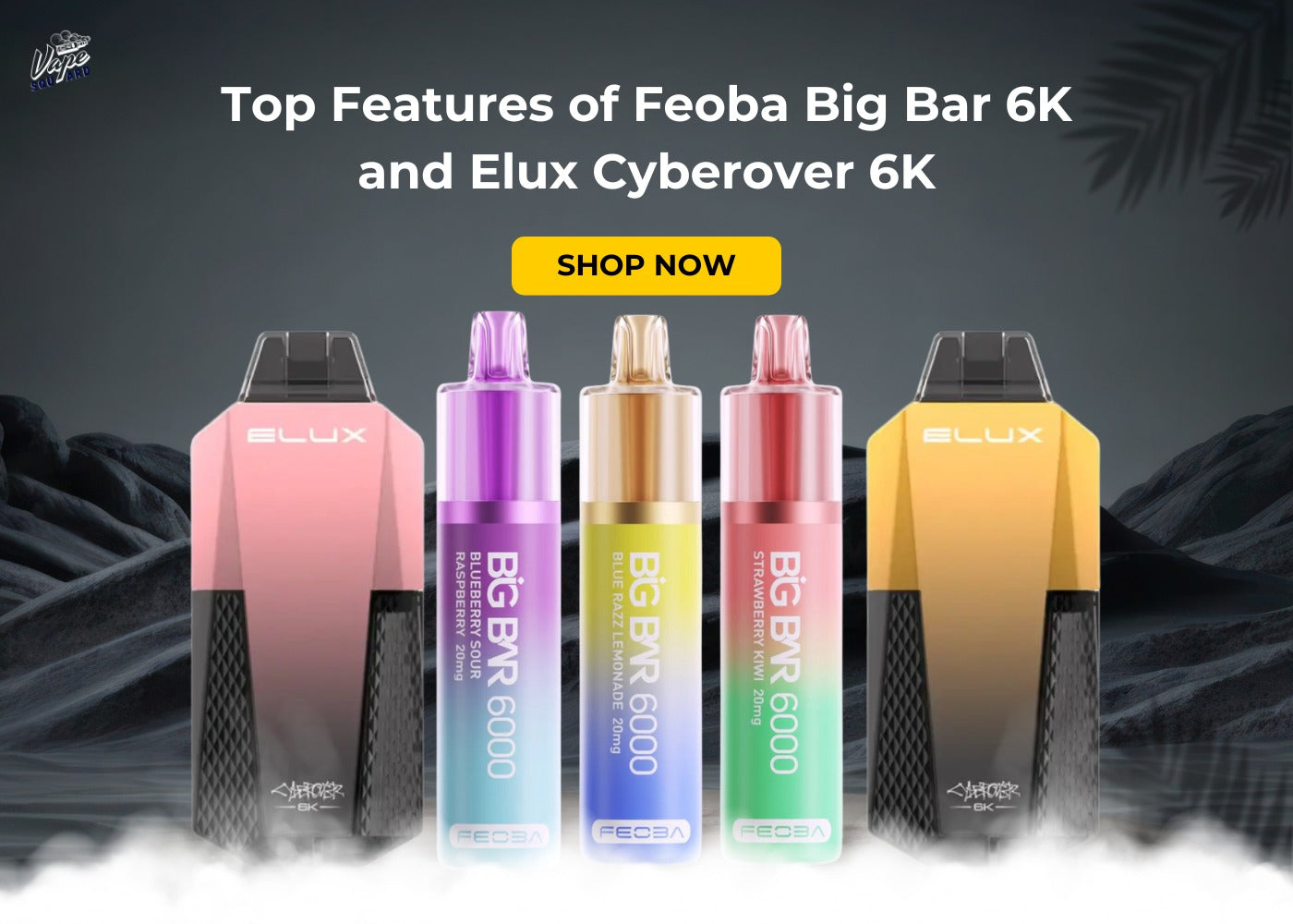 Top Features of Feoba Big Bar 6K and Elux Cyberover 6K - Vape Squard