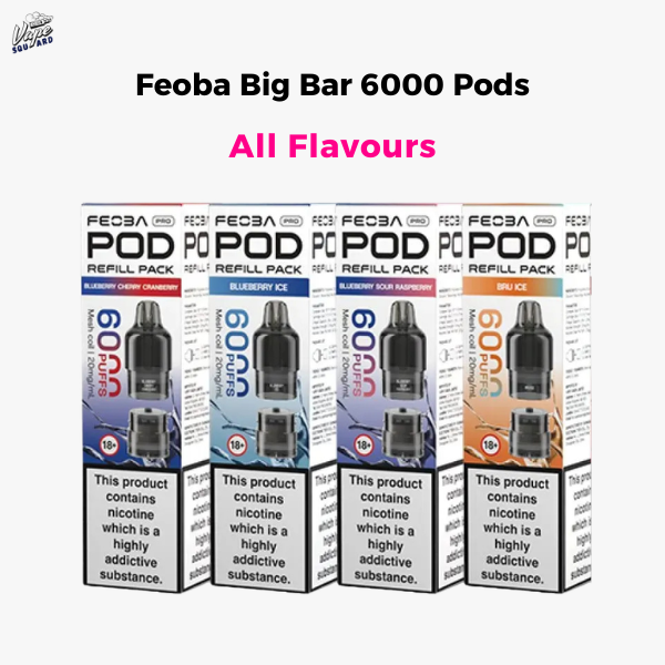 Feoba Pro Big Bar 6000 Pods All Flavours
