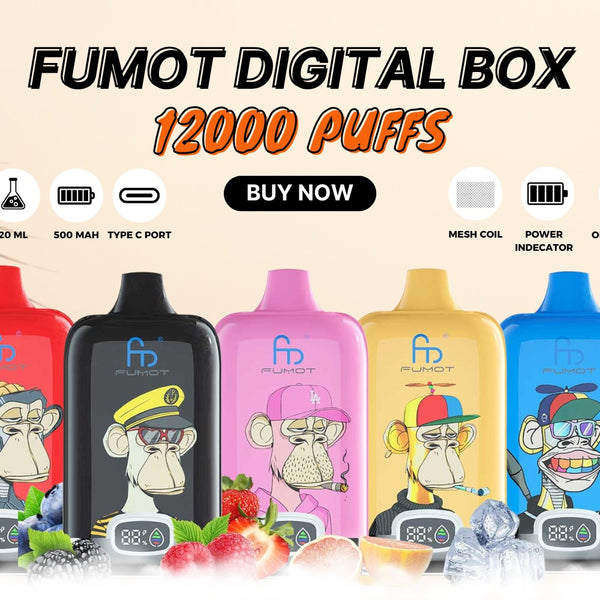 elfbar elfa master akku Fumot Digital Box - 12k main image 1