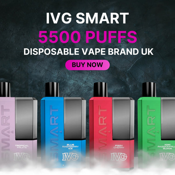 IVG Smart 5500 Disposable Vape Kit
