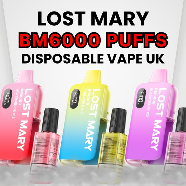 elf bar vape uk Lost Mary BM6000 Big Puff Disposable Vape main image 1