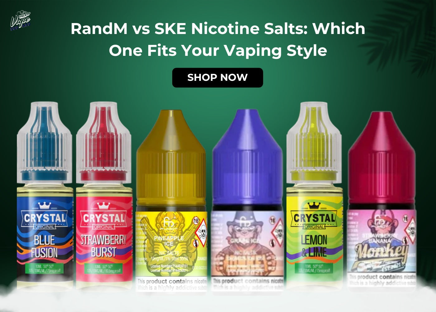 RandM vs SKE Nicotine Salts Which One Fits Your Vaping Style